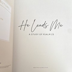 The Daily Grace Co. He Leads Me: A Study of Psalm 23 Kristin Schmucker PB 2017