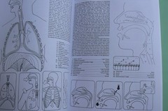 Dover HUMAN ANATOMY Coloring Book,Ziemian/Matt, ALL CLEAN! 44-pages