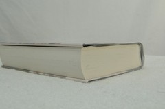 George D N Coletti / Stone Mountain The Granite Sentinel Signed 2009 Civil War