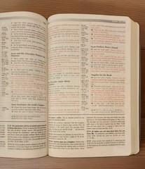 Prophecy Study Bible NKJV Tim LaHaye Genuine Leather Burgundy Vintage 2001
