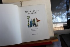 Madeline’s Rescue