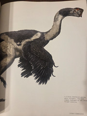 The World of Dinosaurs: An Illustrated Tour by Mark A Norell: Used