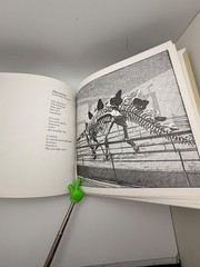 Vintage Dinosaur Book Lot Poetry Lee Bennett Hopkins Golden Book Peter Zallinger