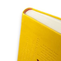 Winnie-the-Pooh by Milne ILLUSTRATED Flexi Bound Faux Leather Classics Gift Book