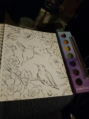 Watercolor Crush by Editors of Klutz (2016, Box or Slipcased / Zo)