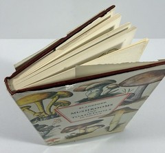 1961 Mushrooms Toadstools in Colour Blandford First Edition Dust Jacket Hvass