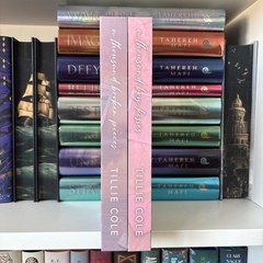 A Thousand Broken Pieces & A Thousand Boy Kisses Tillie Cole Eternal Embers Box
