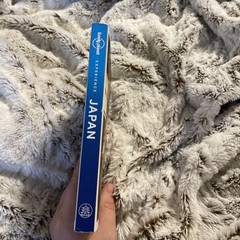 Lonely Planet Experience Japan