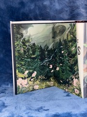 OOP Signed Devney Perry Shield of Sparrows Hardcover (2025) Wal Edition Series