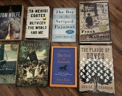Lot of 10 Books Literature by Various Authors Paperbacks & Hardcovers