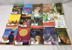 LOT OF 15 YOUNG ADULT NOVELS / MULTIPLE TITLES & AUTHORS / PAPERBACK