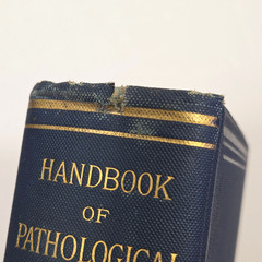 Handbook Pathological Anatomy Histology Delafield Prudden 1889 HC Wood Engraving
