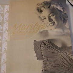 Marilyn Monroe: A Photographic History of Her Iconic Life box B