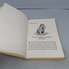 Eddie the Dog Holder: 1966 William Morrow & Company Hardcover by Carolyn Haywood
