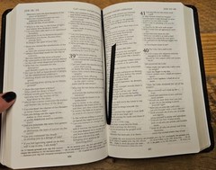 REB Revised English Bible Standard Text Edition Gray Leather RE532:T Cambridge