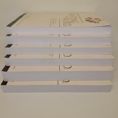 Feasting on The Word 6 Book Year A Volume 3 & 4 Year B Volume 1-2-3-4 Complete