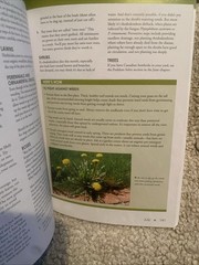 Tennessee & Kentucky Month-by-Month Gardening Judy Lowe Cool Springs Press 2013