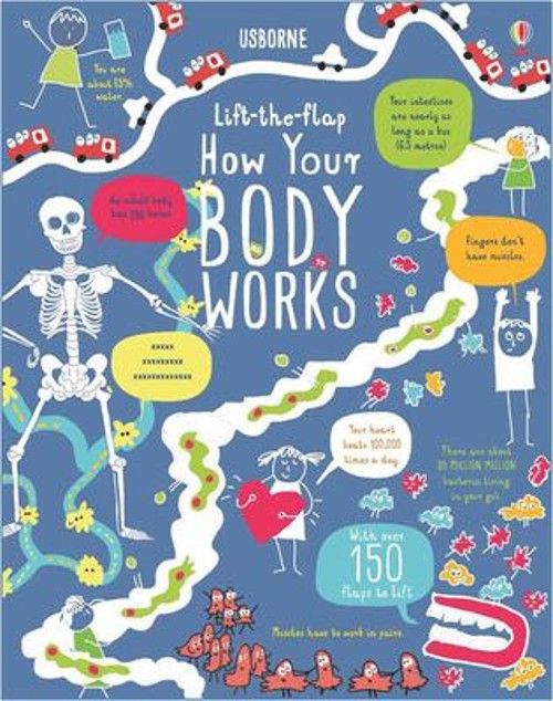 Lift-The-Flap: How Your Body Works BB Board Books Rosie Dickins
