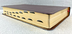 NIV, Thinline Reference Bible, Bonded Leather, Burgundy, Red Letter Edition