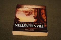 Frankenstein by Mary Shelley 1983 PB 37th Print Signet Classic