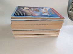 Lot of 15 Chapter Books – Ages 7-11 Great for Summer Reading