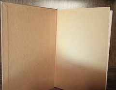 Survey of Israel’s History Leon Wood Zondervan 1970 First Edition Biblical Studi