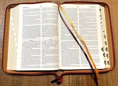 Russian/English Parallel Bible, Synodal/KJV, Brown Imitation Leather Zip LARGE
