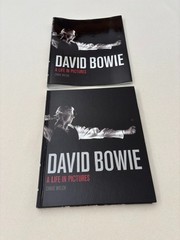David Bowie : A Life in Pictures by Chris Welch (2013, Hardcover) – NEW