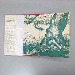 Among the River Pirates by Hugh Lloyd 1934 Skippy Dare 1930s Reprint HCDJ