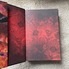 Torment Part 1 and Part 2 by Dylan Page Mystic Book Box Special Editions