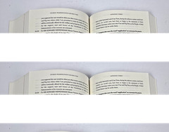 George Washington’s Sacred Fire Peter A. Lillback First Edition 2006 HC/DJ