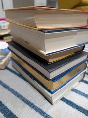 Six Book Lot. Wildly Mismatched. Hardcover. Very Good and Good Condition See Pic