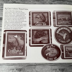 Devil’s Pool A History of Big Cedar Lodge Ozarks Ridgedale Missouri 1995