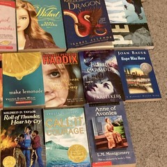 Lot of 53 Chapter Books PB INSTANT LIBRARY Young Adult Teen