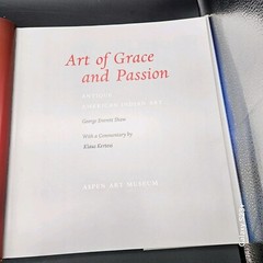 Art of Grace and Passion Antique American Indian Art Book Coffee Table HCDJ