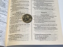 French English Parallel Bible,ESV English Standard,Revised Segond Colombe Black