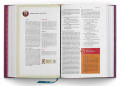 ESV the Biggest Story Holy Bible for Kids (Hardcover) — Kevin DeYoung – Bible