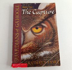 Guardians of Ga’Hoole Kathryn Lasky Bulk Lot 1 3 4 5 7 8 9 12 13 14 + Guide Book
