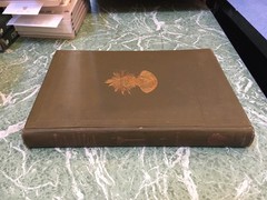 BUREAU OF AMERICAN ETHNOLOGY 22nd Annual Report 1900-01 2 Vol HB Smithsonian