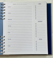 Skinny Taste Ultimate Meal Planner Gina Homolka First Edition Spiral Bound