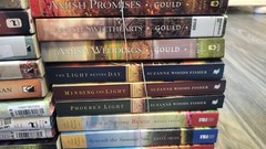 *NEW PRICE Lot of 29 Hardback & Paperback Amish Romance Novels – Various Titles