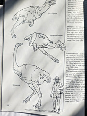 A Field Guide to Dinosaurs Coloring Book – Like New/Unused Vintage 1989 Rare PB