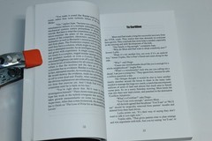 Sapiens’ Shadow by Walter Palesch (2013) SIGNED