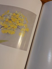Masanobu Matsuoka Art Book Flower Music Total 294 Pages