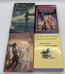 Lot of 20 Chapter Books Graphic Novels Kids Mixed Lot Acceptable Condition