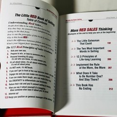 Little Red Book of Selling 12.5 Principles of Sales Greatness – Jeffrey Gitomer