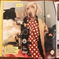 William Wegman. My Town. [SIGNED 1st Edition]