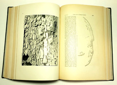 American Indian Ethnology Sixteenth 16th Annual Report 1894 -1895