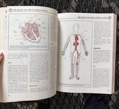 Vintage Rodale Health Remedies Medical Encyclopedia Nutrition Book Lot