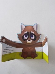 Hugs & Kisses Board Book – Grandma Loves Me 2017 Lake Press Raccoon